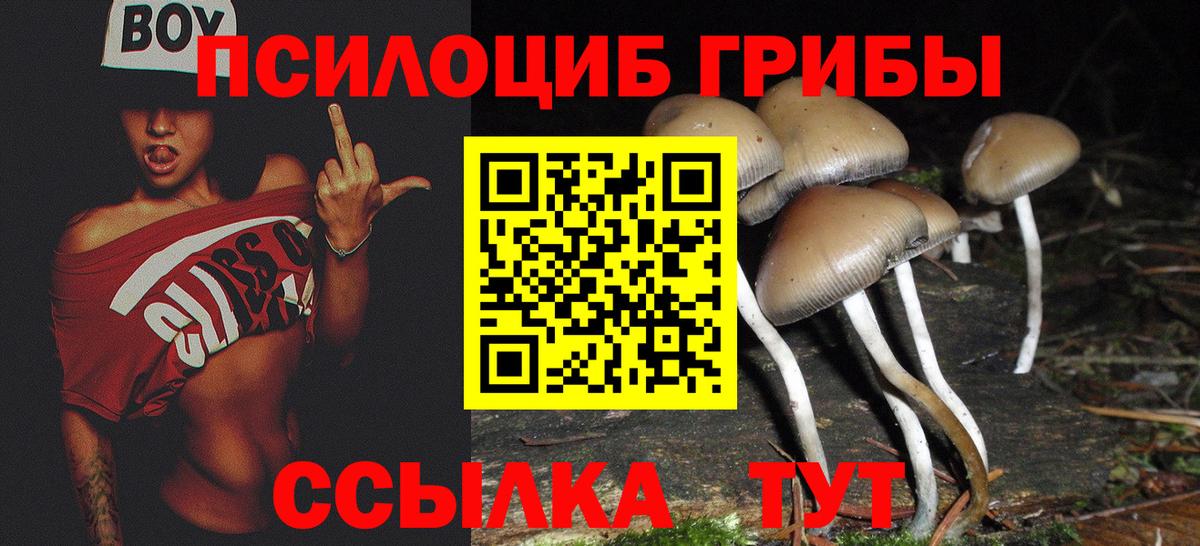 Дзержинский  Псилоцибиновые грибы мицелий  Галлюциногенные грибы Cubensis  Вход с VPN 